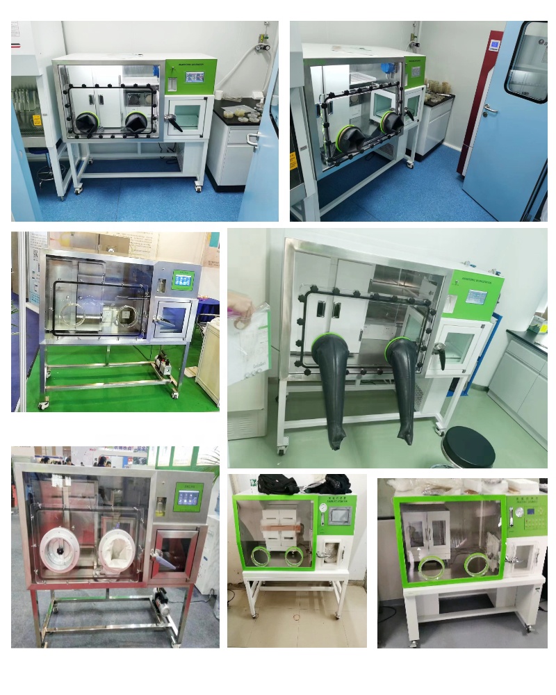 WEIAI Anaerobic Workstation LA - đánh giá và giá Incubator Co2 Lab