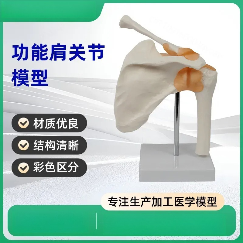 Functional Shoulder Joint Mode - đánh giá và giá Medical Lab Study